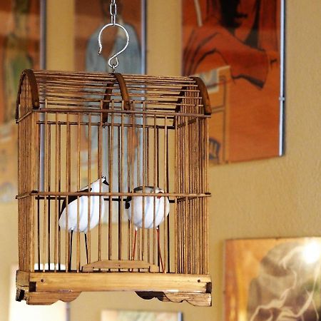 Chambres d'Hôtes Le Secret du Chat Cordes-sur-Ciel Exterior foto